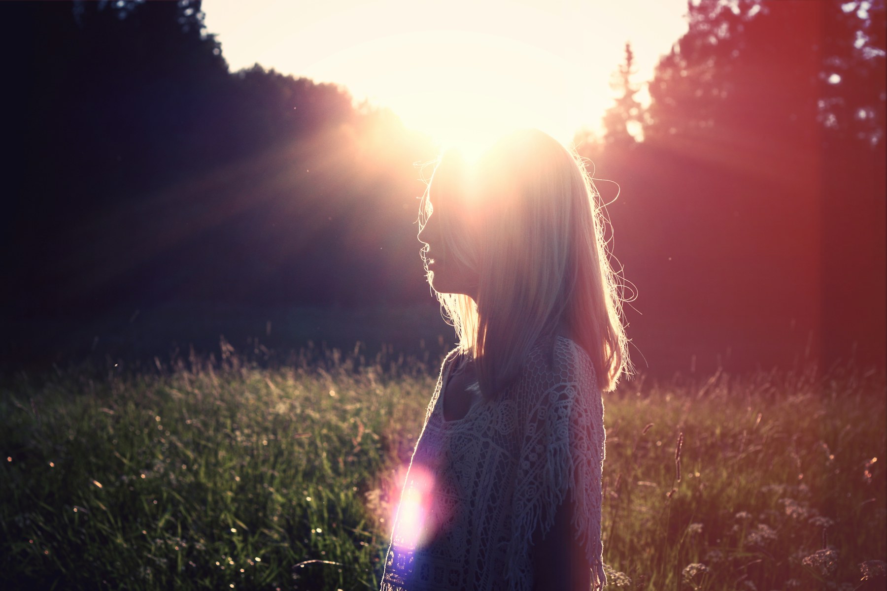 A woman in profile in a meadow, lit from behind by low evening sun