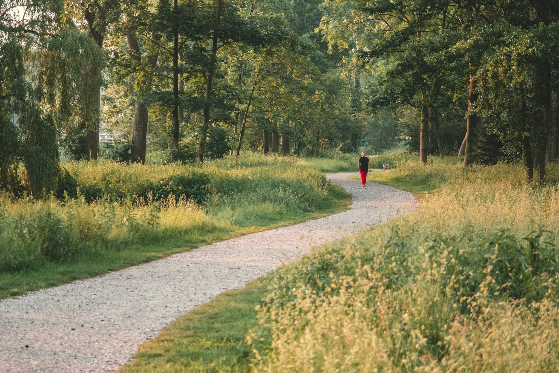 A gravel path winding through long grass and trees, with a walker in the distance